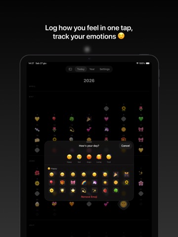 DayTok ipad screenshot 3