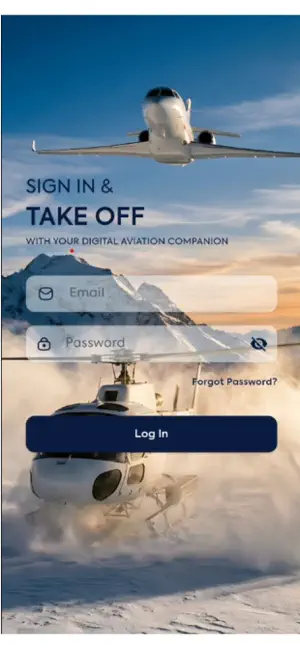 WINGMAN Aero screenshot 1