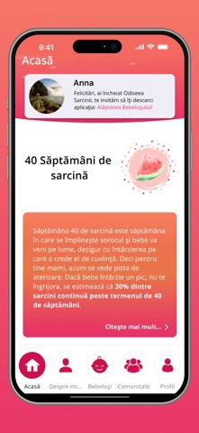 Odiseea Sarcinii, Sarcina ta iPhone screenshot