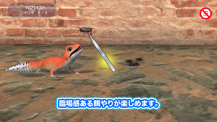 わたしのレオパードゲッコー