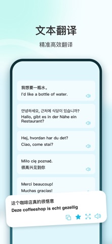 极客翻译-Ai无网翻译工具 screenshot