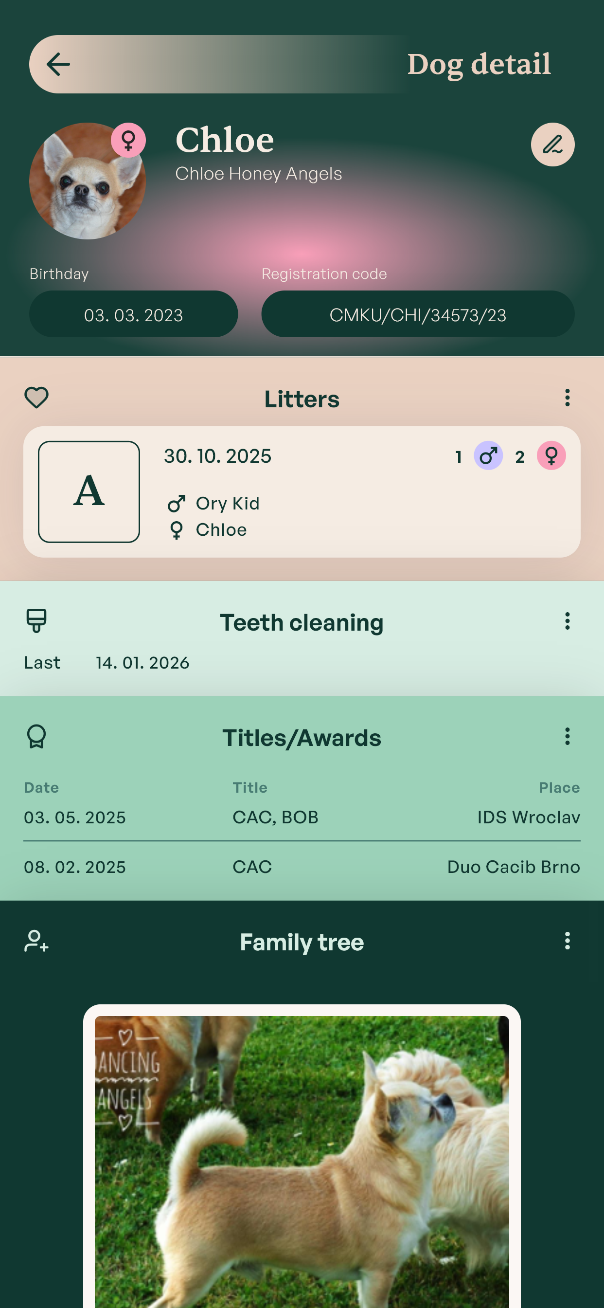 MyKennel app screenshot 6