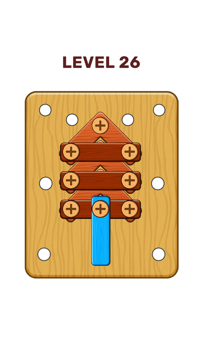 Wood Bolts Brain Puzzle Tease
