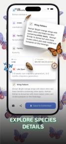 Butterfly Identifier - Wingfy screenshot