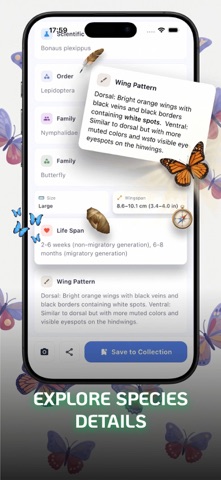 Butterfly Identifier - Wingfy Screenshot 3 of 9