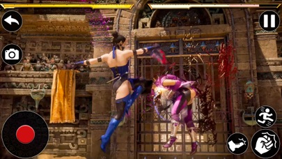 Girls Ninja Kungfu Fighting Screenshot