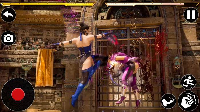 Girls Ninja Kungfu Fighting