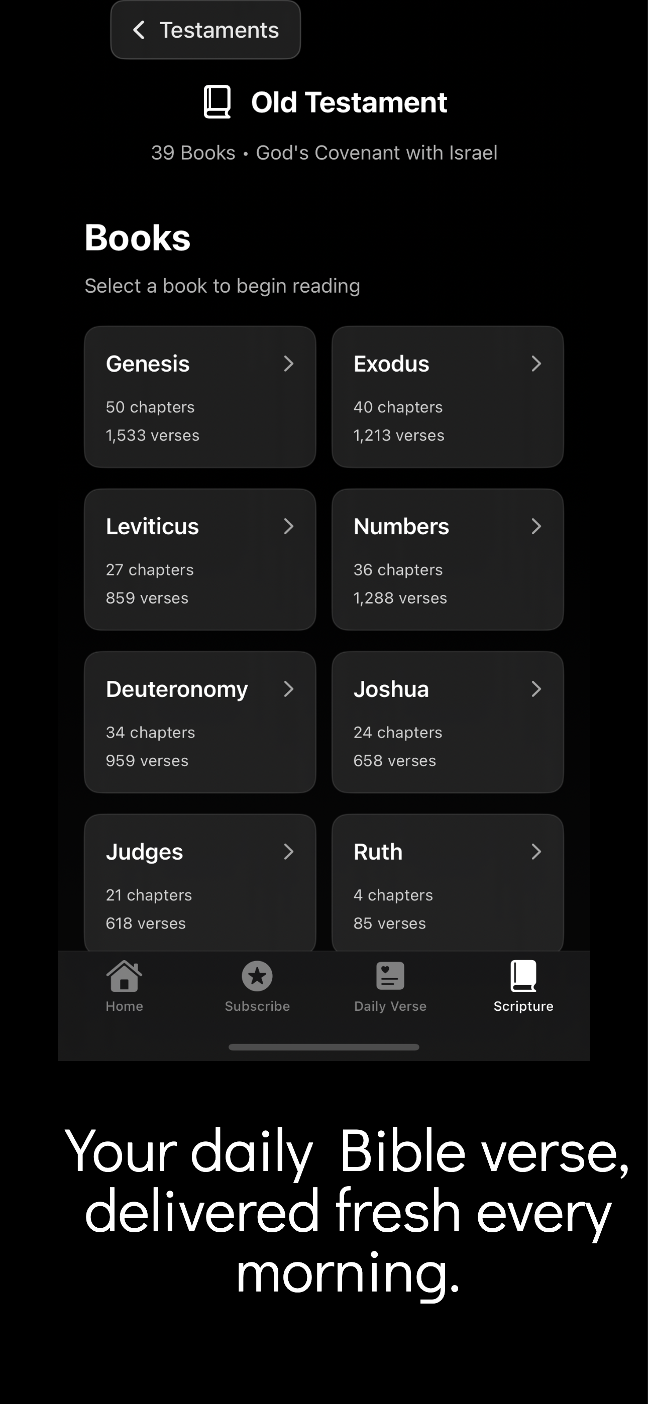 Daily Bible : Faith