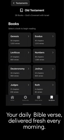 Daily Bible : Faith screenshot