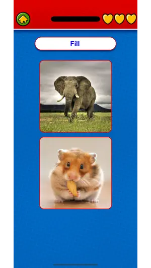 Learn Icelandic Flashcards screenshot 3