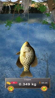 Bobber Fishing screenshot 2