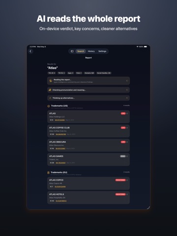 NameVett - Trademark Search iPad screenshot