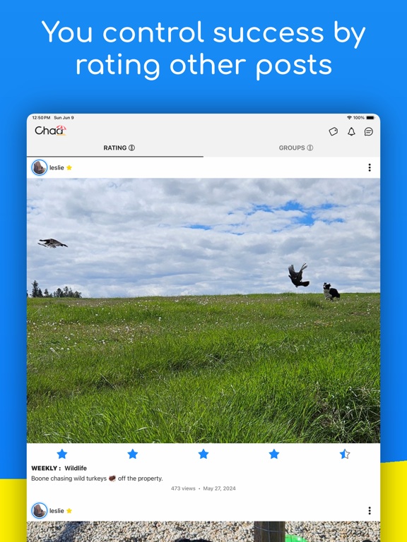 Chaa - Social Media Gamified iPad screenshot 4 - Photo & Video app