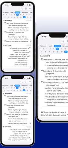 DoubleScroll Bible のスクリーンショット