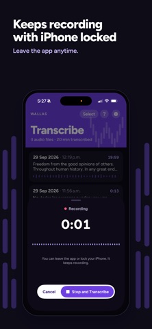 Wallas Transcribe screenshot 2