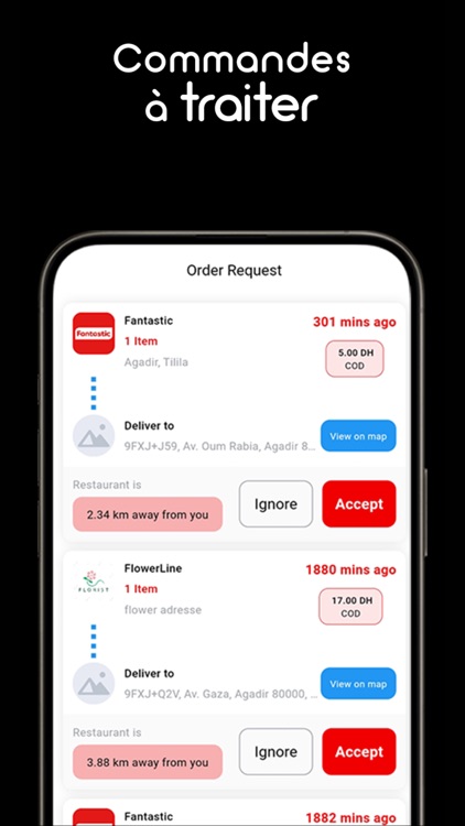Fantastic Ambassadors