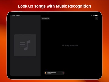 Music Info — Song Metadata iPad screenshot