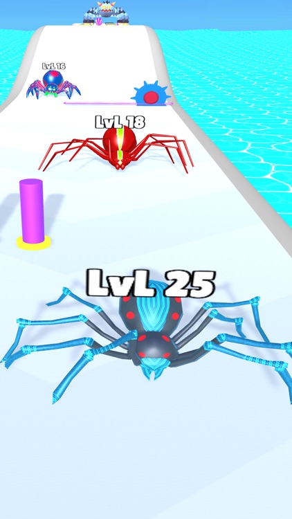 Spider & Insect Evolution Run