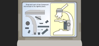 The Compound Microscope G8 screenshot
