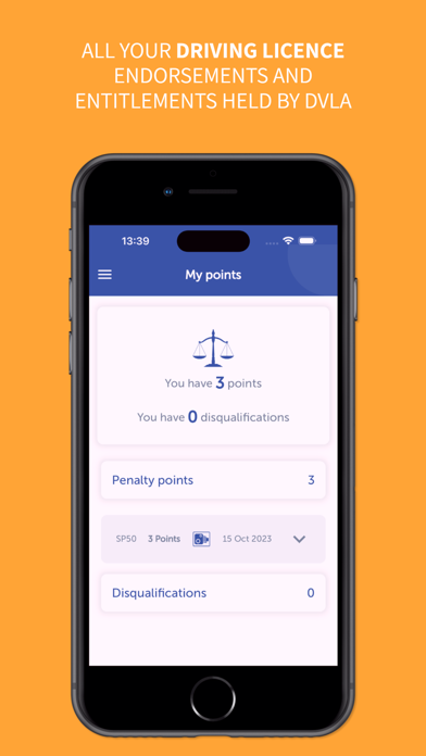 Screenshot #3 pour Driver Codes - driving licence