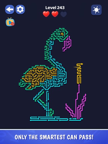 Arrow Out Puzzle - Maze Escape iPad screenshot