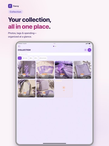 Favvy: Fan Life Tracker iPad screenshot