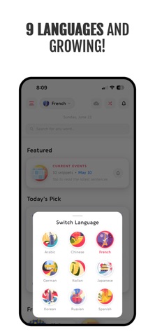 Language Dashboard Screenshot 6 of 6