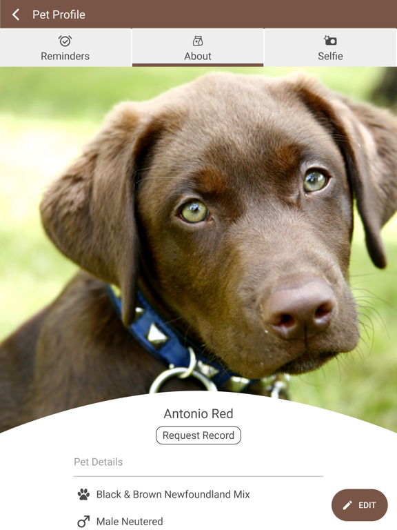 Franklin Vet iPad screenshot 3 - Business app