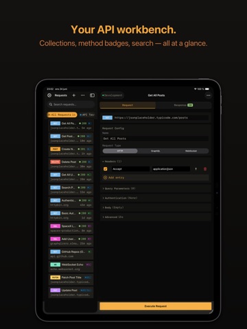 ProbePad - API Client ipad screenshot 3