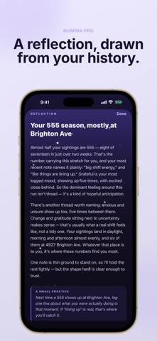 Numina: Synchronicity Journal iPhone screenshot