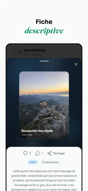 Faunex screenshot 3