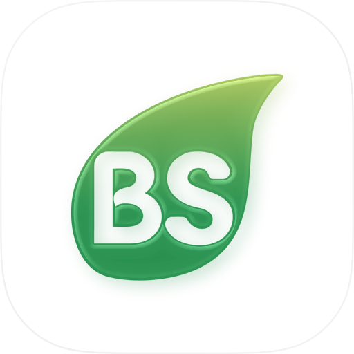 BigServ