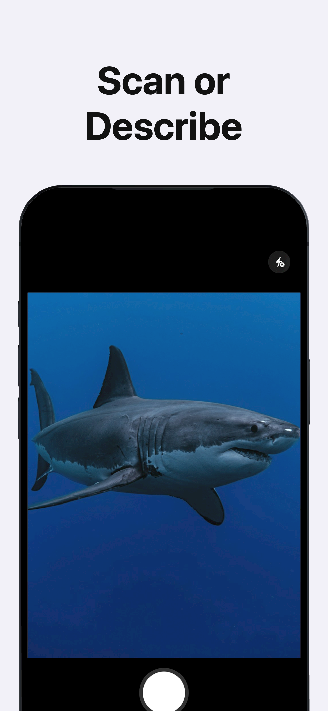 AI Fish Identifier by Photo screenshot 2