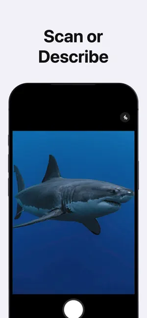 AI Fish Identifier by Photo screenshot 2