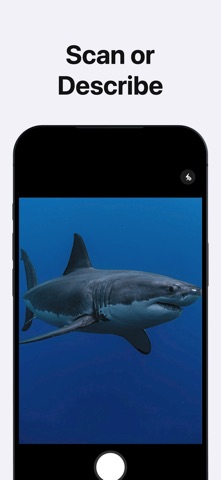 AI Fish Identifier by Photo iPhone screenshot