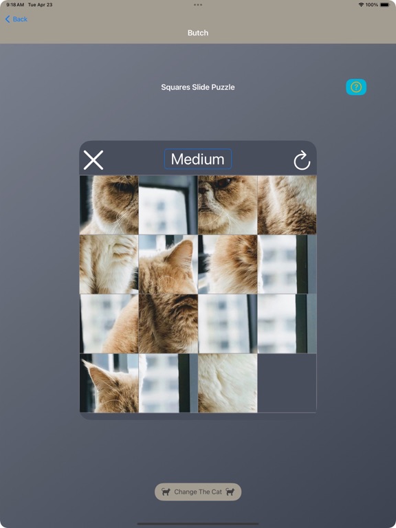 Cat Face Puzzles iPad screenshot 5 - Entertainment app