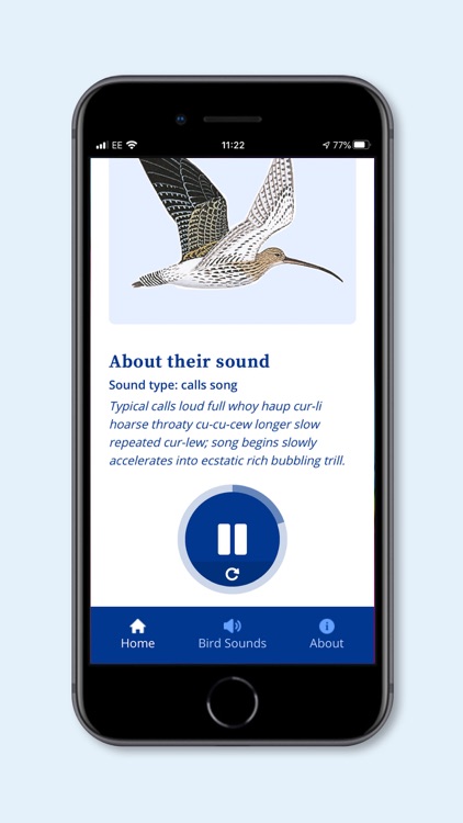 DK AMNH Bird Sounds screenshot-3