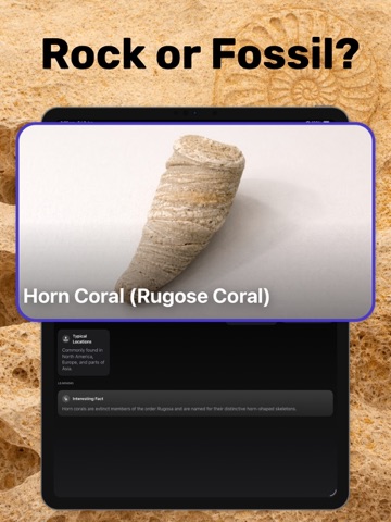Fossil Identifier & Rock ID iPad screenshot