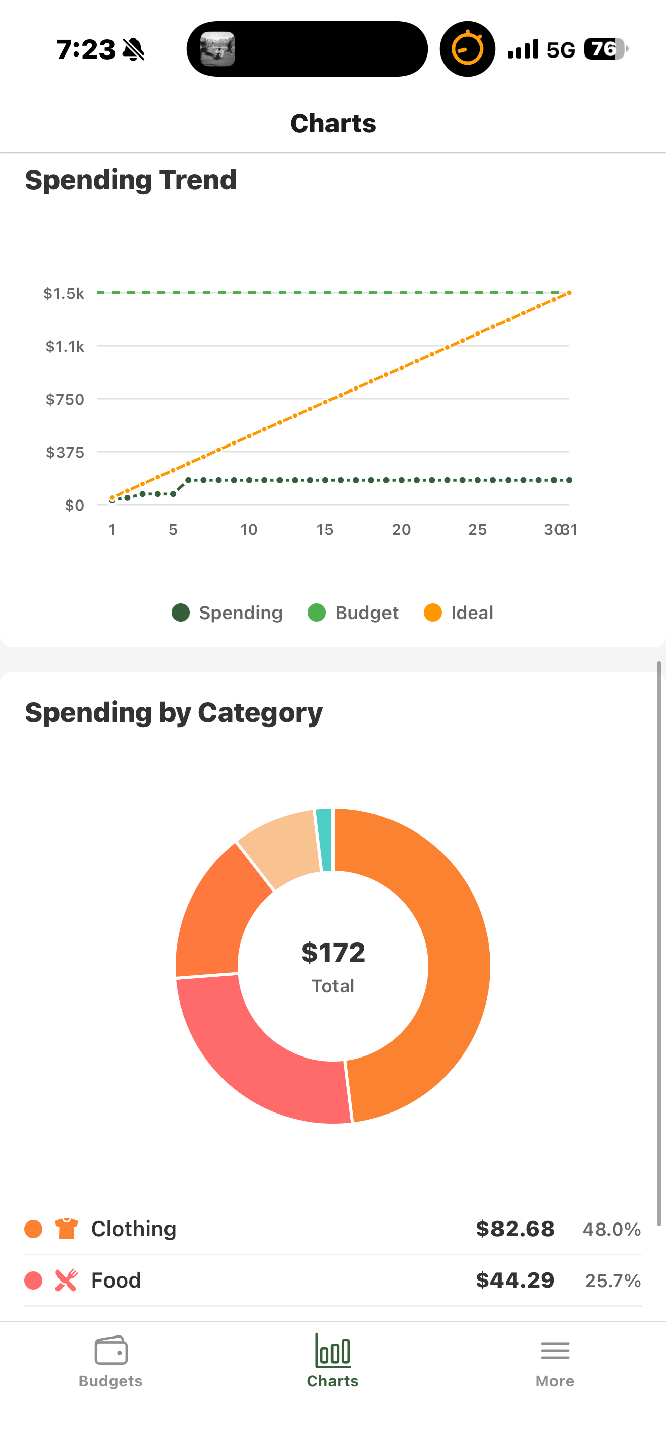 BasicBudget: A basic budget