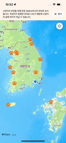 StrayKitty - 모든 고양이를 위한 위대한 여정 screenshot