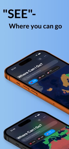 VisaVault screenshot