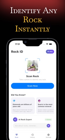 Rock ID - Crystal Scanner Screenshot 1 of 4