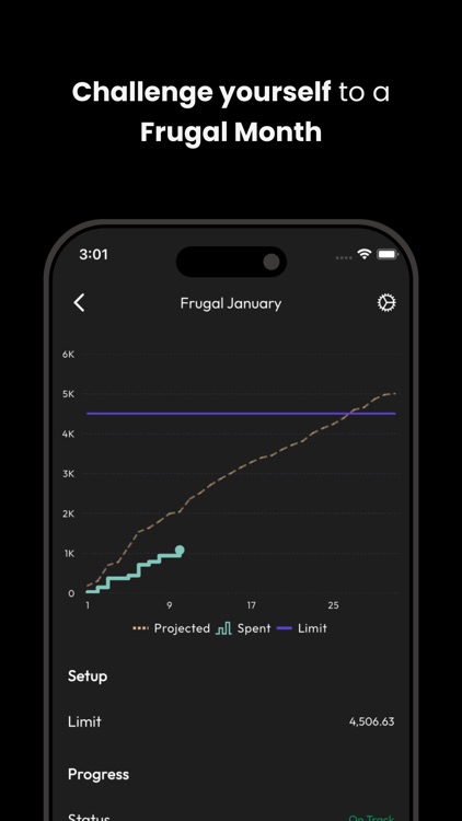 Lumy for YNAB screenshot-5