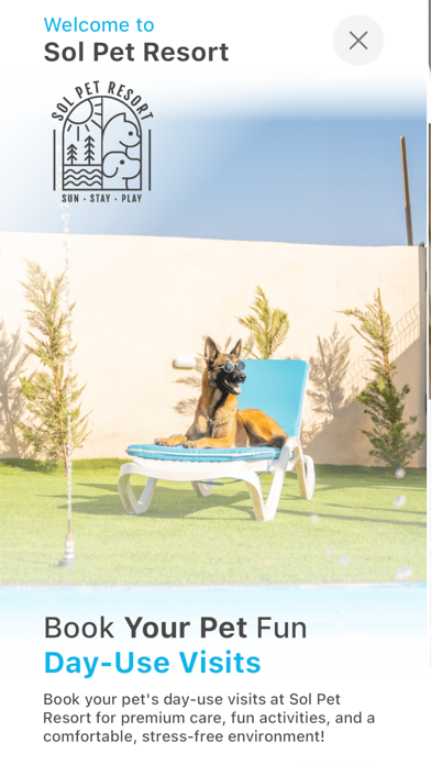 Screenshot #3 pour Sol Pet Resort