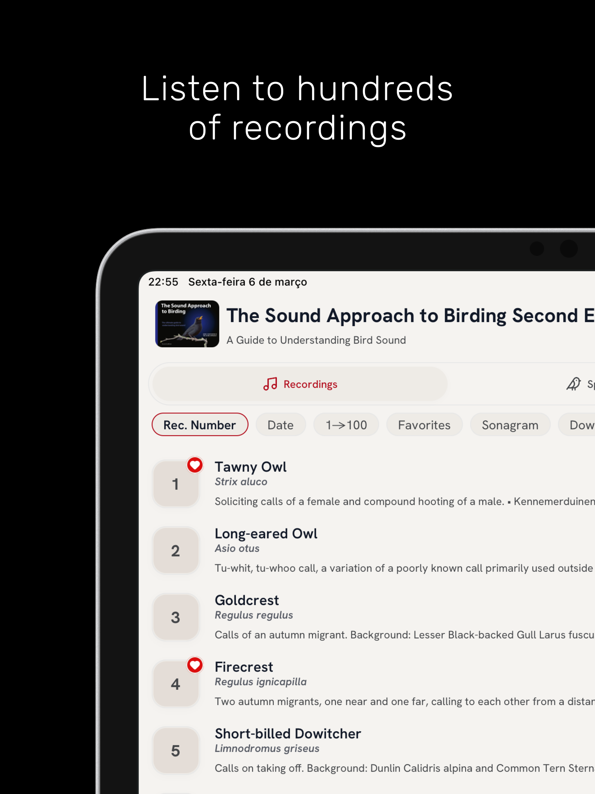 The Sound Approach: Bird Sound