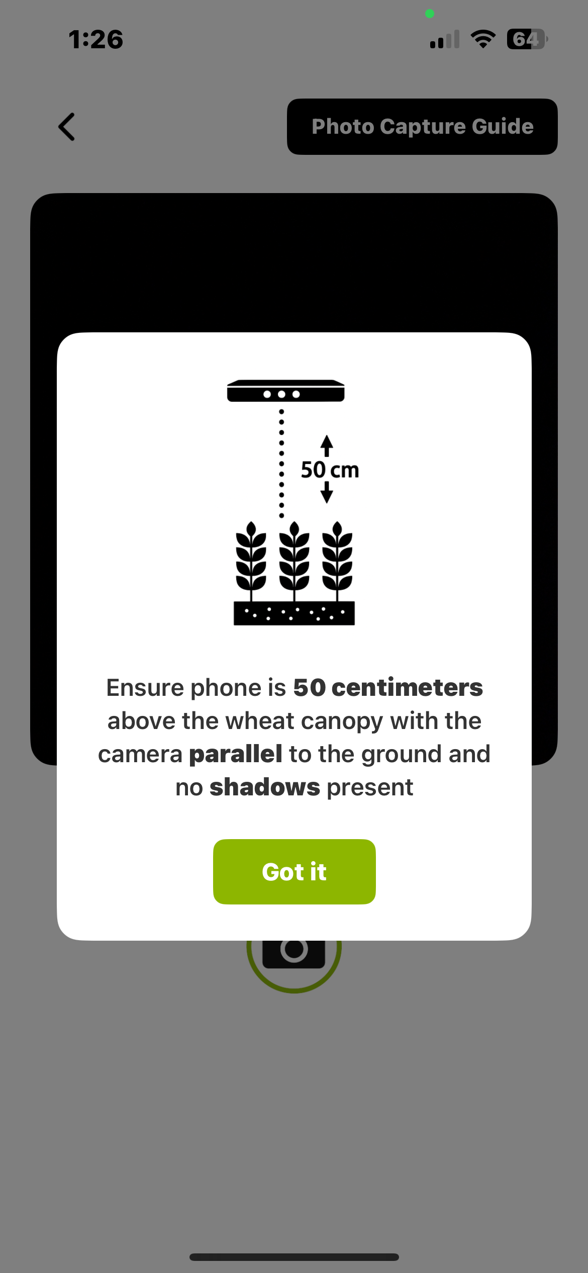 WheatScanR