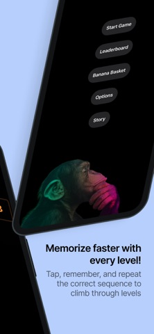 Chimp Champ Ayumu's Brain Game Screenshot 2 of 5