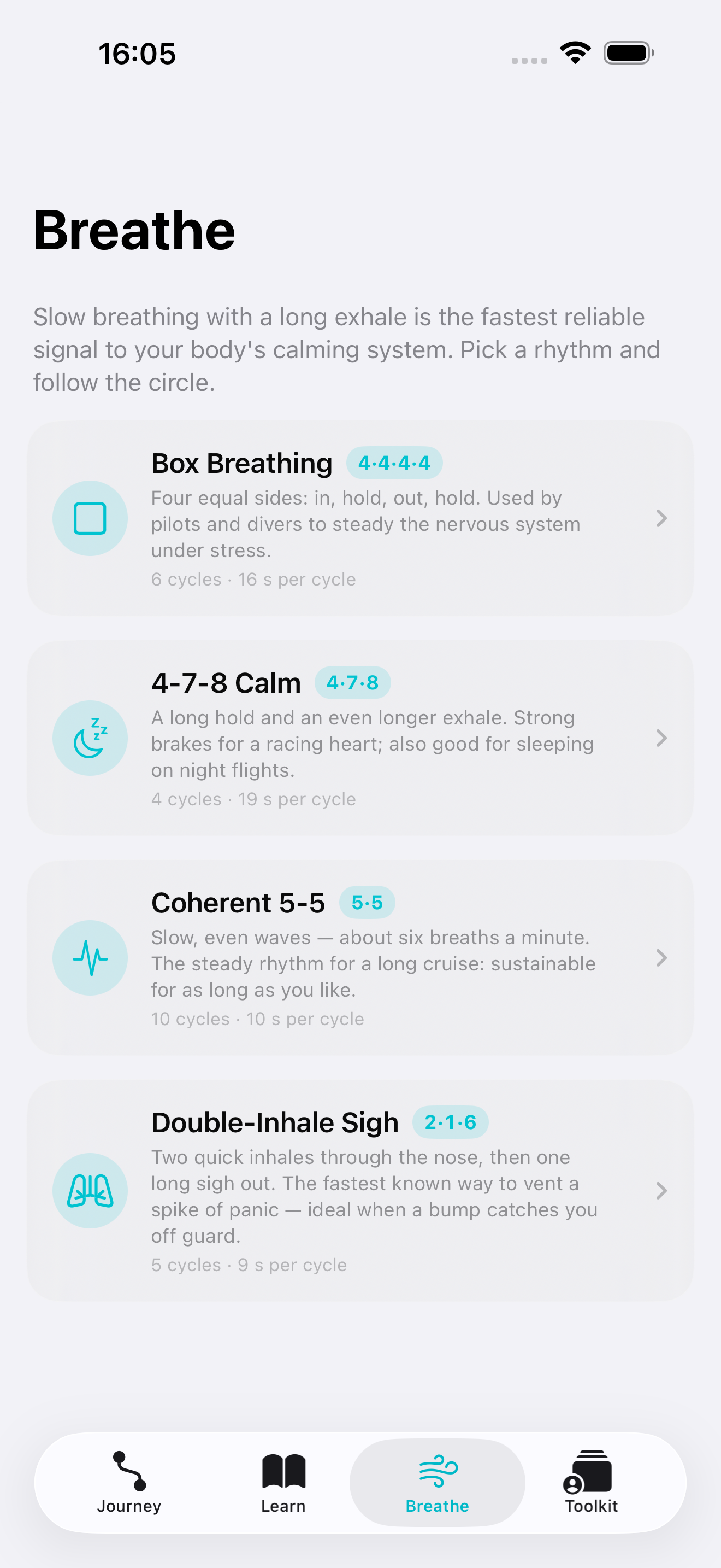 SteadySkies: Fear of Flying screenshot 3