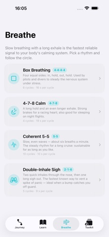 SteadySkies: Fear of Flying iPhone screenshot