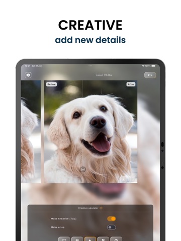 UltraSharp AI Upscaler & Edits iPad screenshot